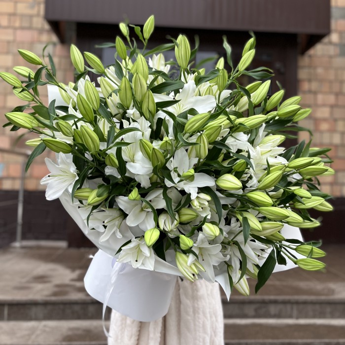 51 белая Восточная Лилия