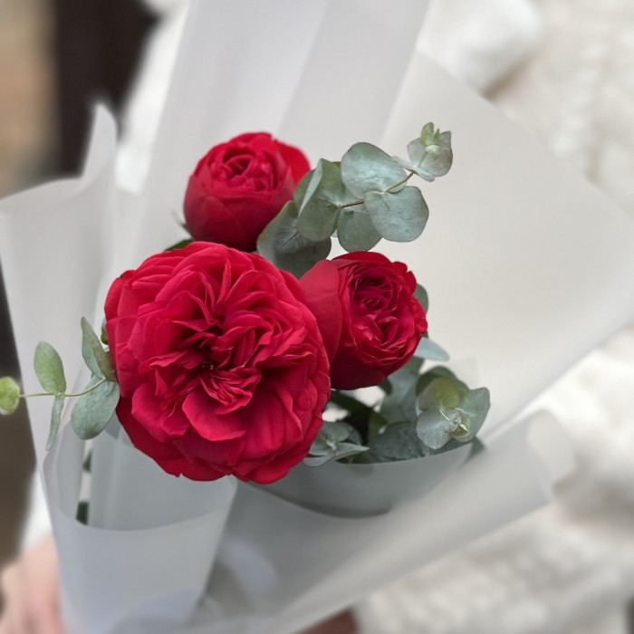 Комплимент пионовидная Роза Ред Пиано 40 см