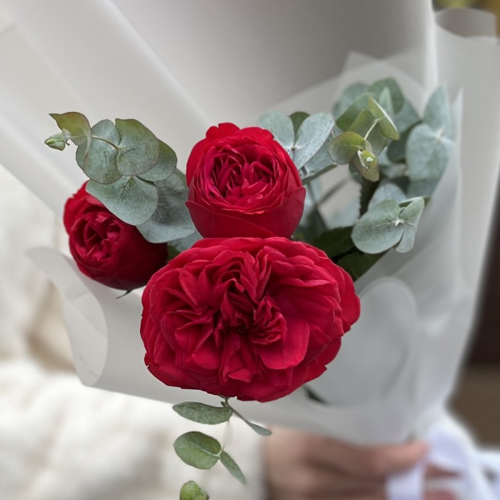 Комплимент пионовидная Роза Ред Пиано 40 см