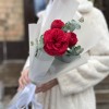 Комплимент пионовидная Роза Ред Пиано 60 см