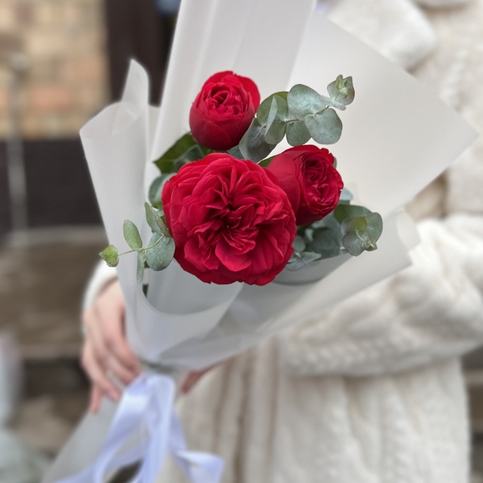 Комплимент пионовидная Роза Ред Пиано 70 см