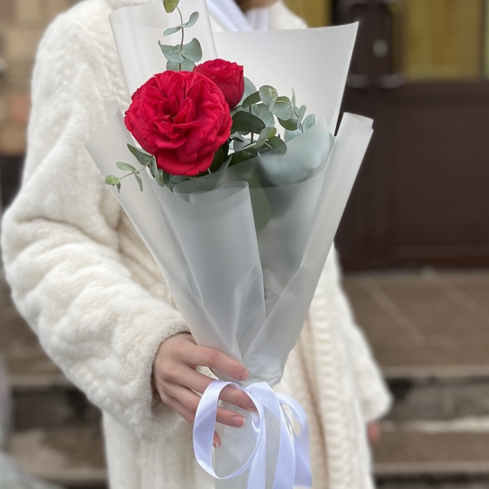 Комплимент пионовидная Роза Ред Пиано 70 см