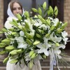 Лилия белая Восточная