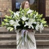 Лилия белая Восточная