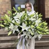 Лилия белая Восточная