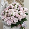 Кустовая пионовидная роза Энджел Бомбастик бело-розовая 50 см