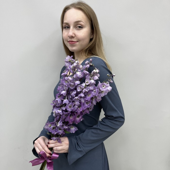 7 пышных лавандовых дельфиниумов
