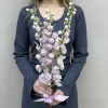 3 сиреневых дельфиниума