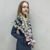 5 сиреневых дельфиниумов
