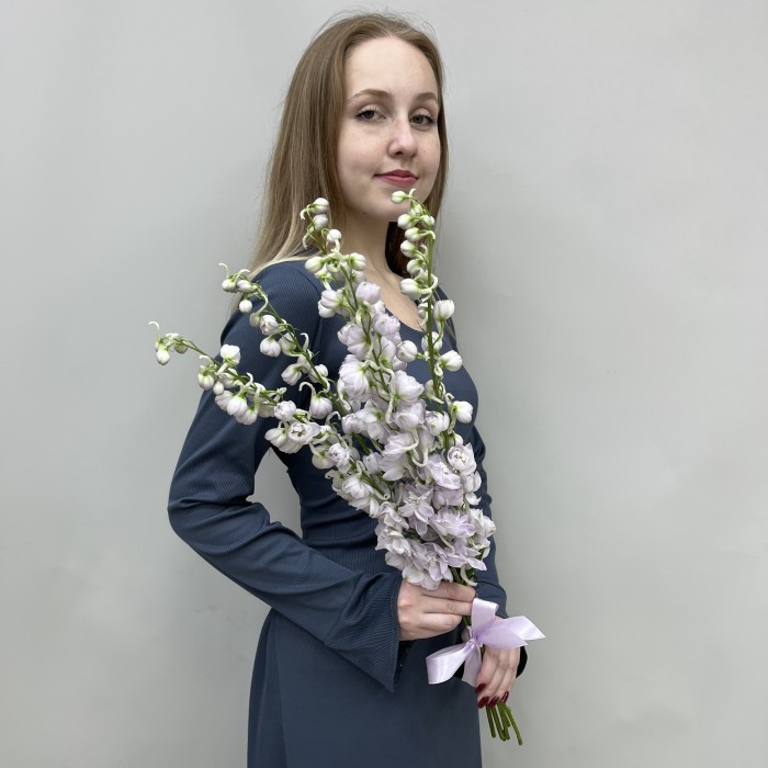 5 сиреневых дельфиниумов