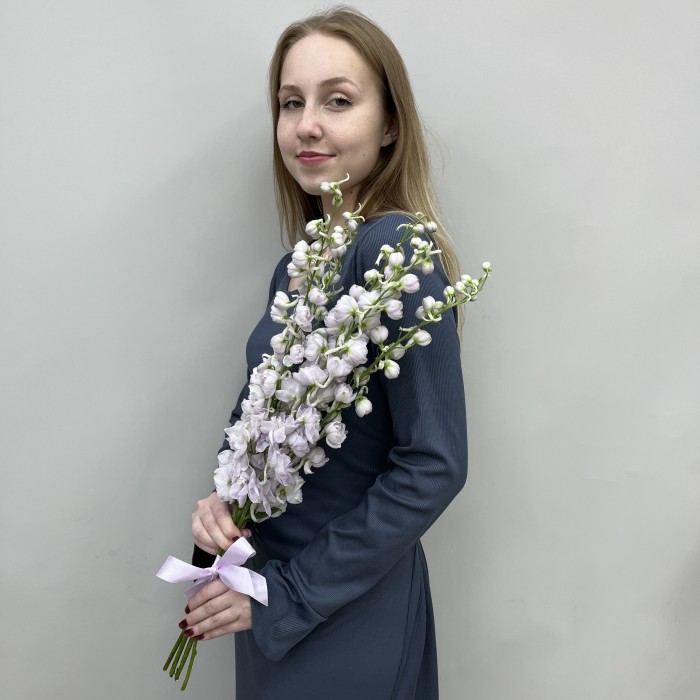 5 сиреневых дельфиниумов
