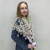 9 сиреневых дельфиниумов