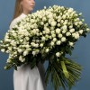 101 кустовая роза Сноу Бабл 60 см