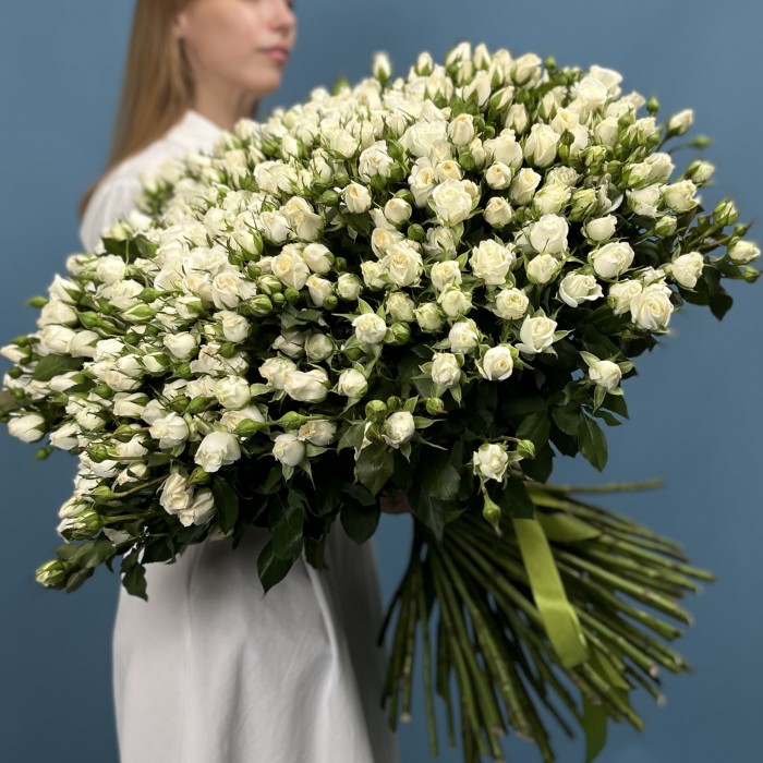 101 кустовая роза Сноу Бабл 60 см