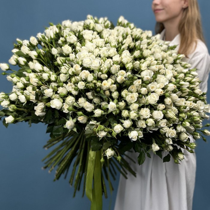 101 кустовая роза Сноу Бабл 60 см