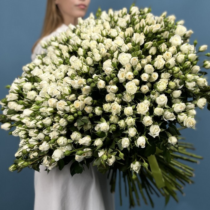 101 кустовая роза Сноу Бабл 60 см