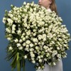 101 кустовая роза Сноу Бабл 60 см