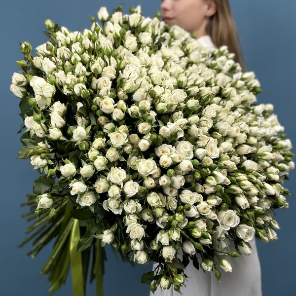 101 кустовая роза Сноу Бабл 60 см