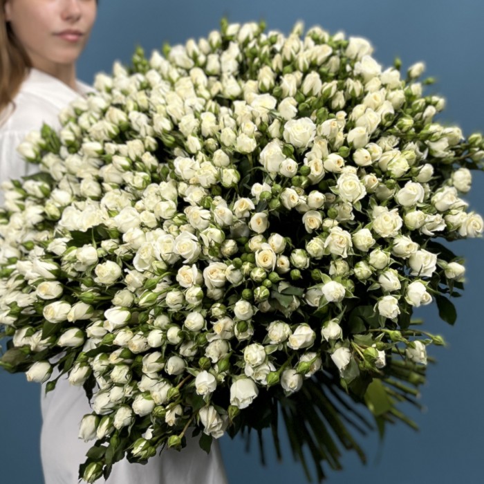 101 кустовая роза Сноу Бабл 60 см