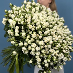 101 кустовая роза Сноу Бабл 70 см