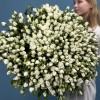101 кустовая роза Сноу Бабл 60 см