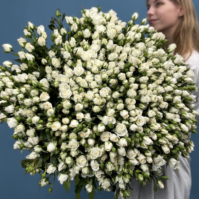 101 кустовая роза Сноу Бабл 60 см