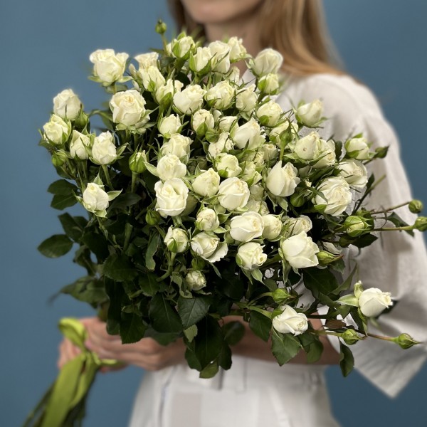 11 кустовых белых роз Сноу Бабл 70 см