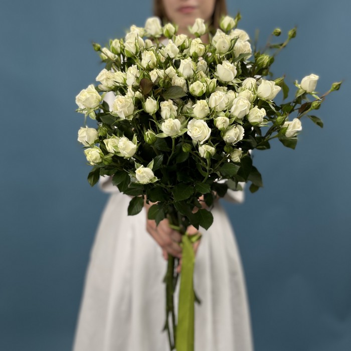 11 кустовых белых роз Сноу Бабл 70 см