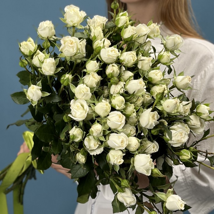 11 кустовых белых роз Сноу Бабл 70 см
