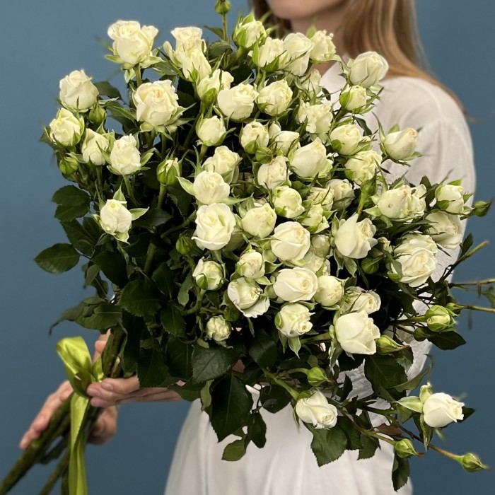 11 кустовых белых роз Сноу Бабл 70 см