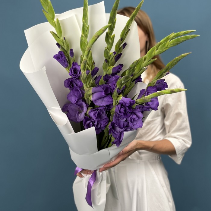 11 темно-фиолетовых гладиолусов