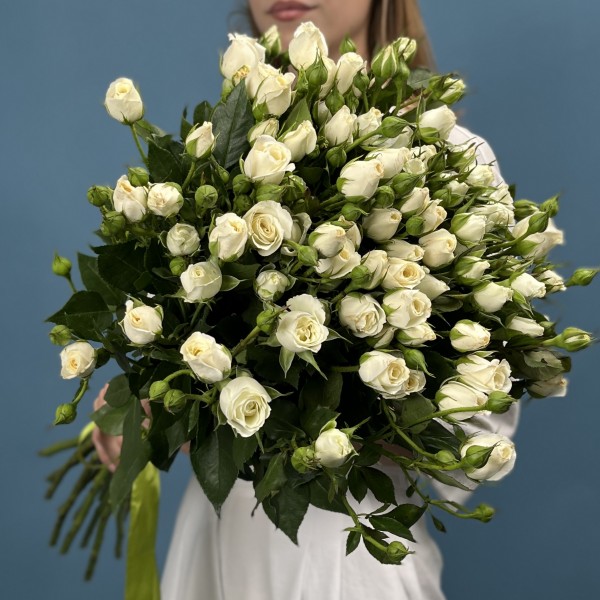 15 кустовых роз Сноу Бабл 60 см