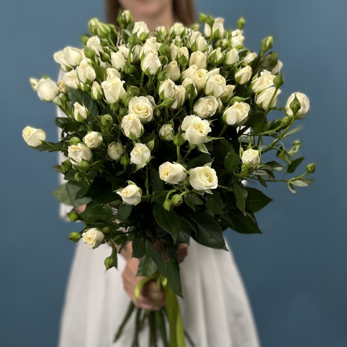 15 кустовых белых роз Сноу Бабл 70 см