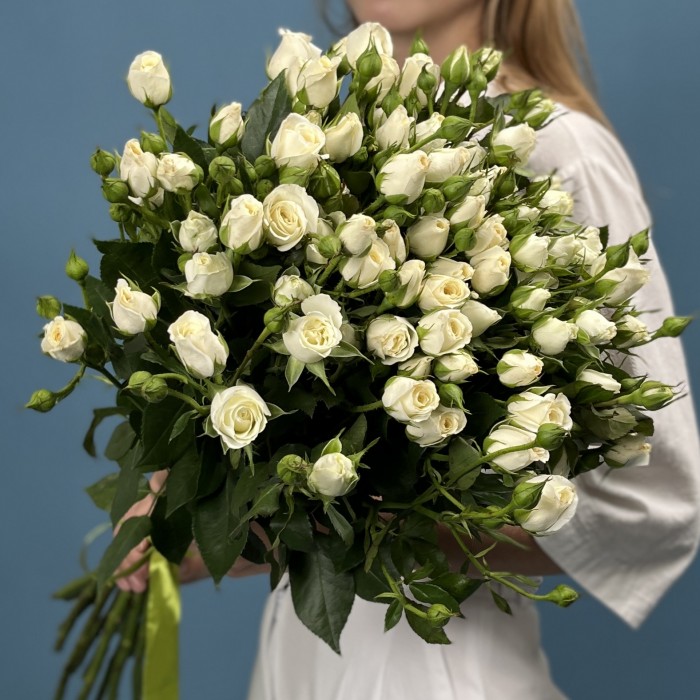 15 кустовых белых роз Сноу Бабл 70 см