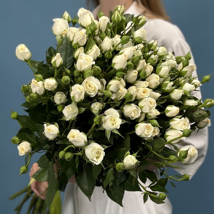 15 кустовых белых роз Сноу Бабл 70 см