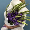 15 фиолетовых гладиолусов