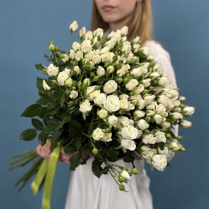 25 кустовых роз Сноу Бабл 60 см