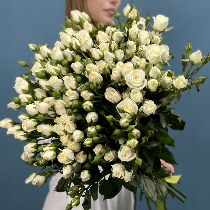 25 кустовых роз Сноу Бабл 60 см