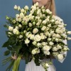 25 кустовых роз Сноу Бабл 60 см