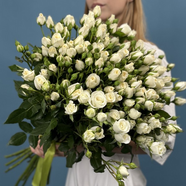 25 кустовых роз Сноу Бабл 60 см