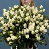 25 кустовых белых роз Сноу Бабл 70 см