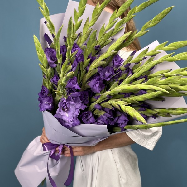 25 темно-фиолетовых гладиолусов