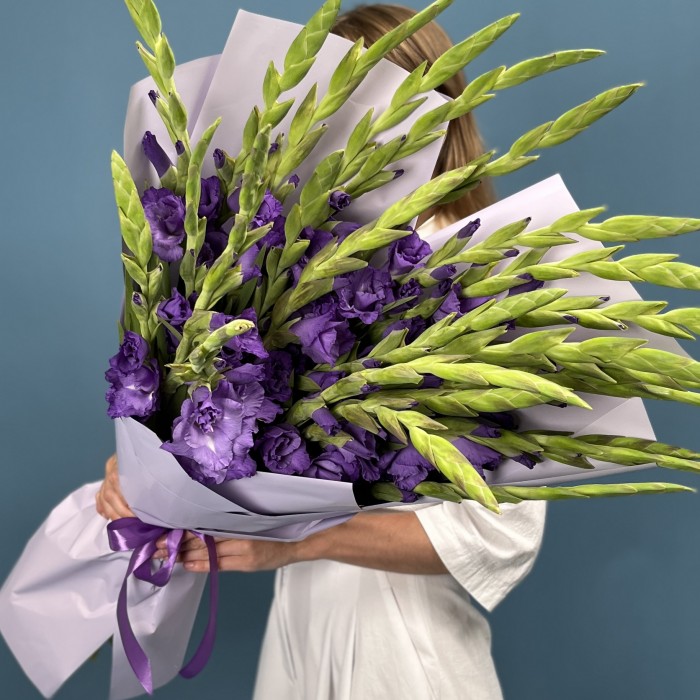 25 темно-фиолетовых гладиолусов