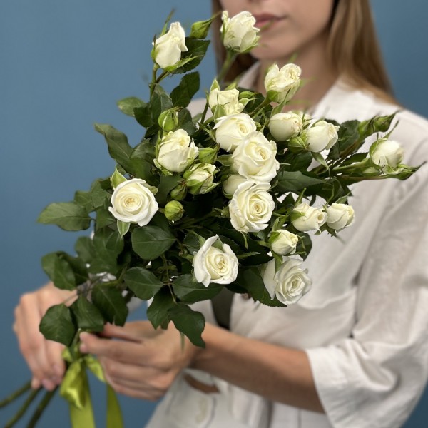 3 кустовые белые розы Сноу Бабл 70 см