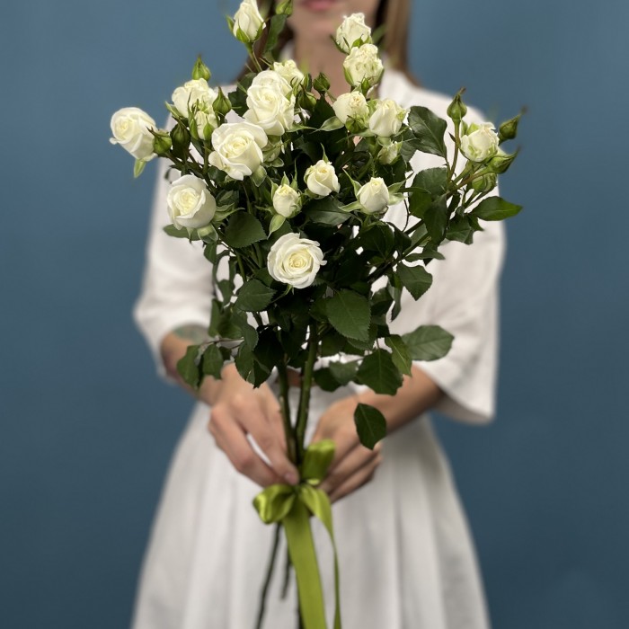 3 кустовые белые розы Сноу Бабл 70 см