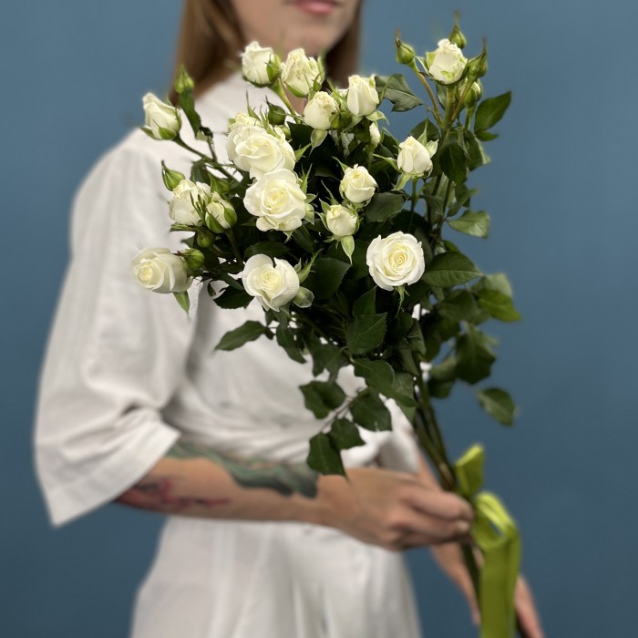 3 кустовые белые розы Сноу Бабл 60 см