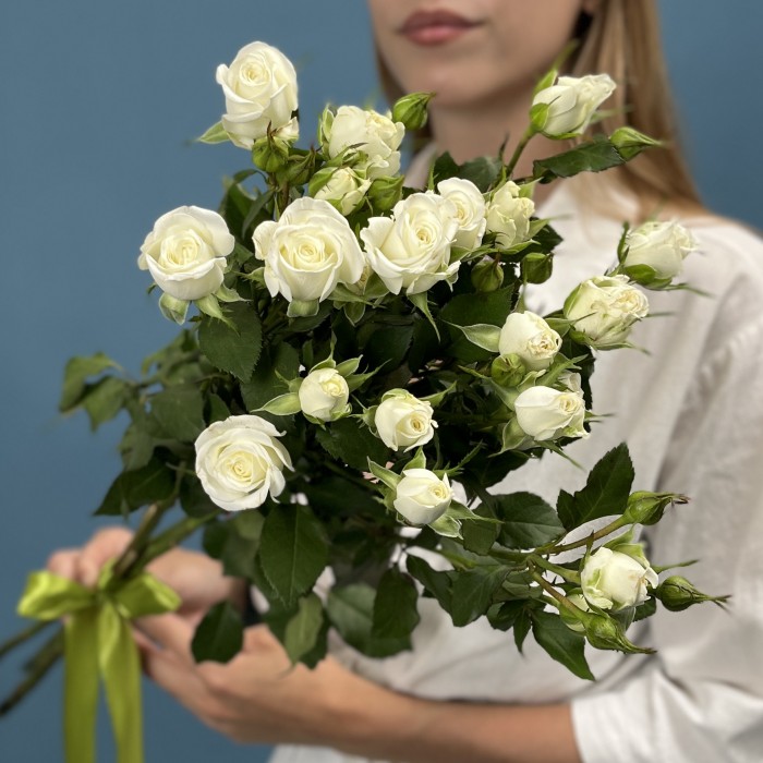 3 кустовые белые розы Сноу Бабл 70 см