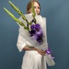 3 темно-фиолетовых гладиолуса