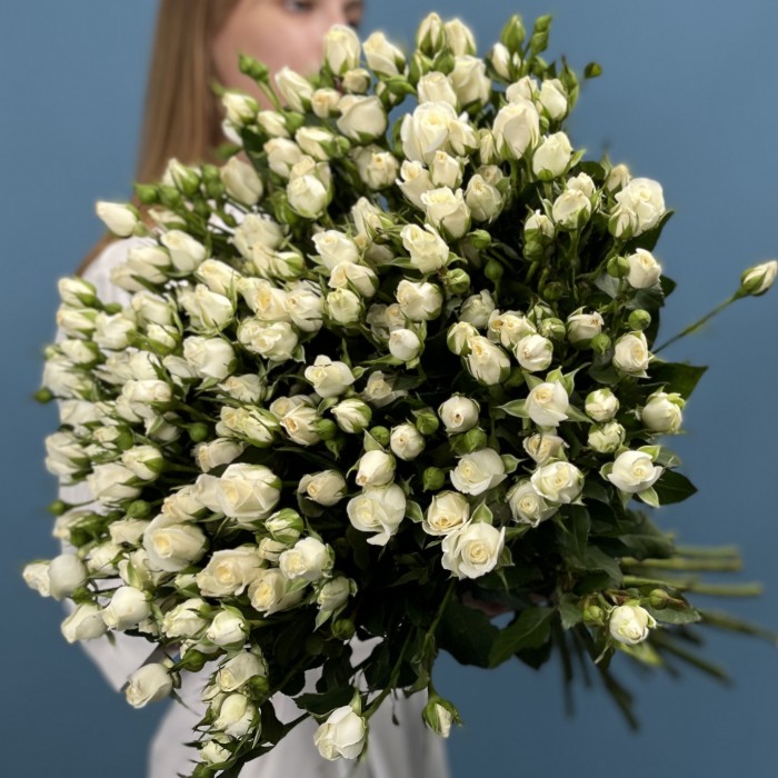 35 кустовых роз Сноу Бабл 60 см