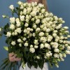 35 кустовых роз Сноу Бабл 70 см